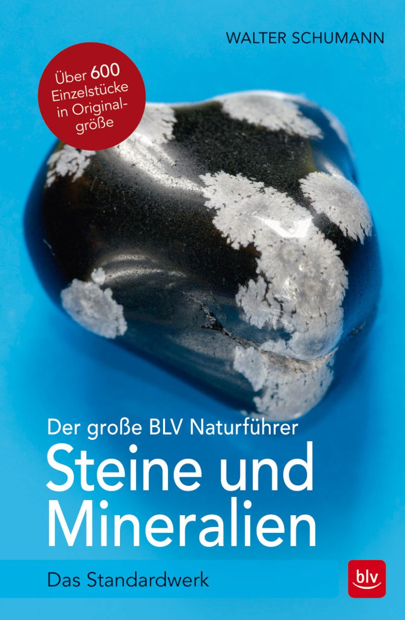 Buch Steine und Mineralien