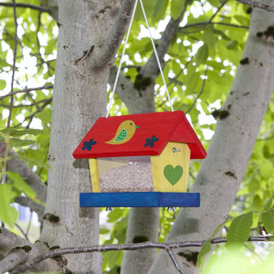 Maison pour oiseaux - kit, peintures et pinceaux inclus